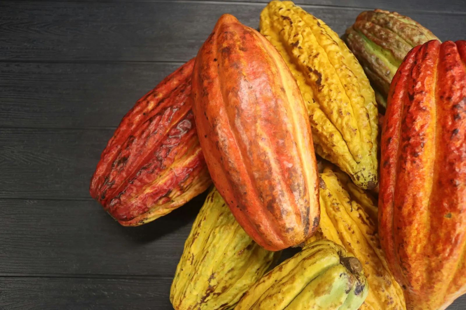 Cacao pods